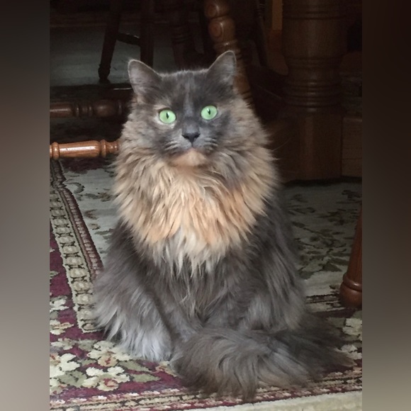 Meet your Posher, Christina - Picture 7 of 15